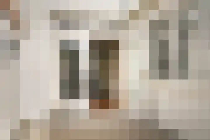 Sophiastraat 8 Zaltbommel thumbnail 4