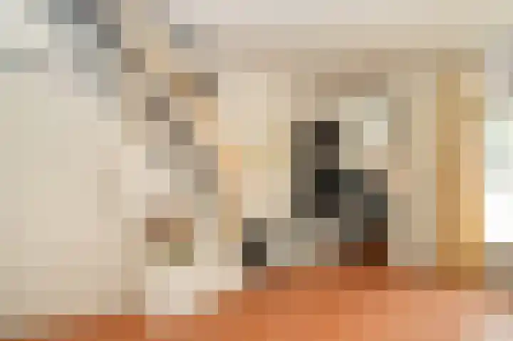 Sophiastraat 8 Zaltbommel thumbnail 8