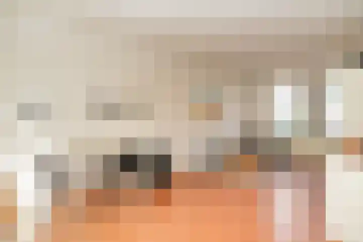 Sophiastraat 8 Zaltbommel thumbnail 9