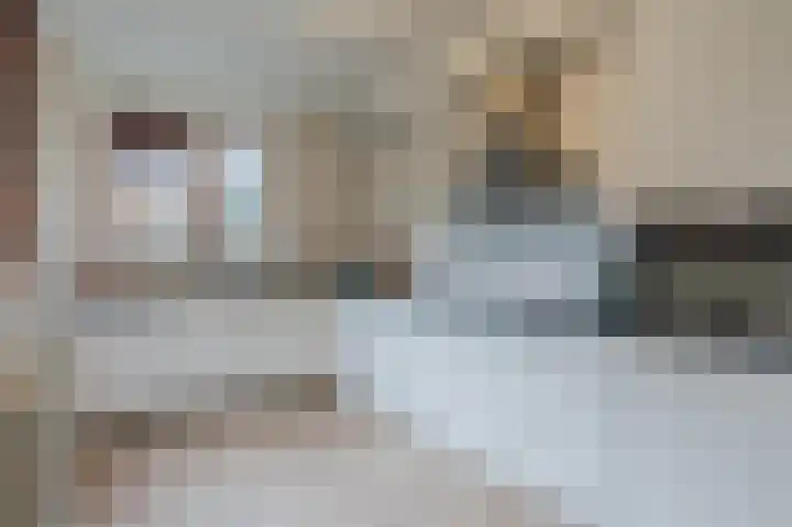 Sophiastraat 83 Waalre thumbnail 10