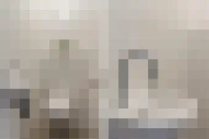 Sophiastraat 83 Waalre thumbnail 13