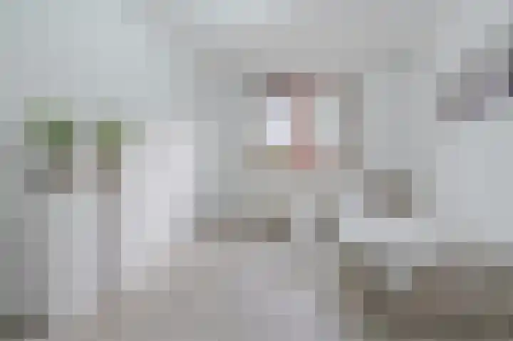 Sophiastraat 83 Waalre thumbnail 17