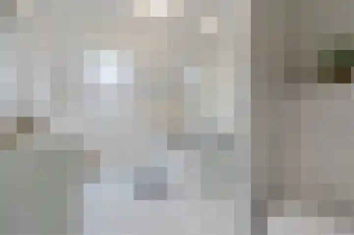 Sophiastraat 83 Waalre thumbnail 19