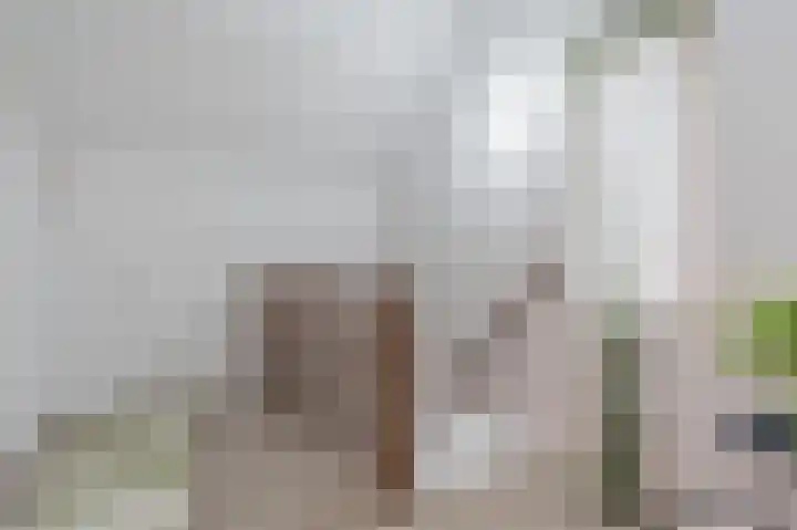 Sophiastraat 83 Waalre thumbnail 23
