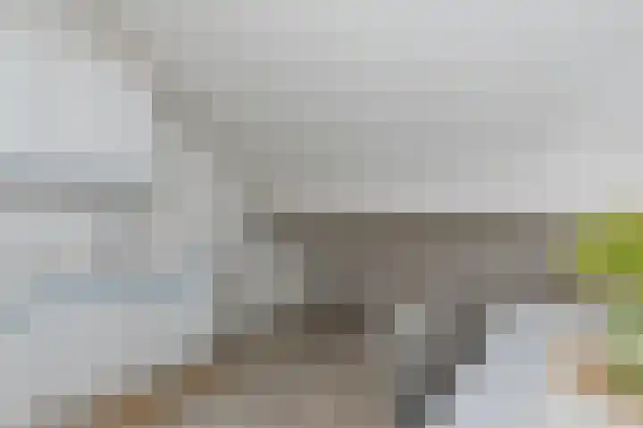 Sophiastraat 83 Waalre thumbnail 24