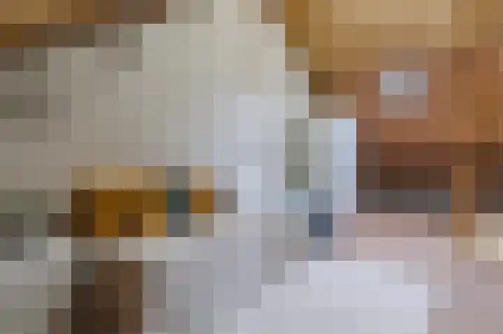 Sophiastraat 83 Waalre thumbnail 28