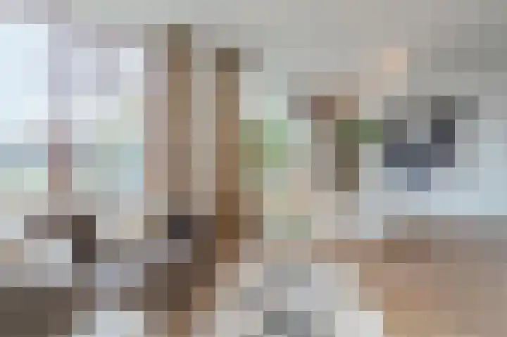 Sophiastraat 83 Waalre thumbnail 5