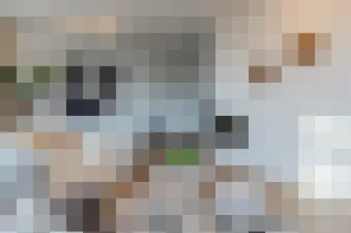 Sophiastraat 83 Waalre thumbnail 6