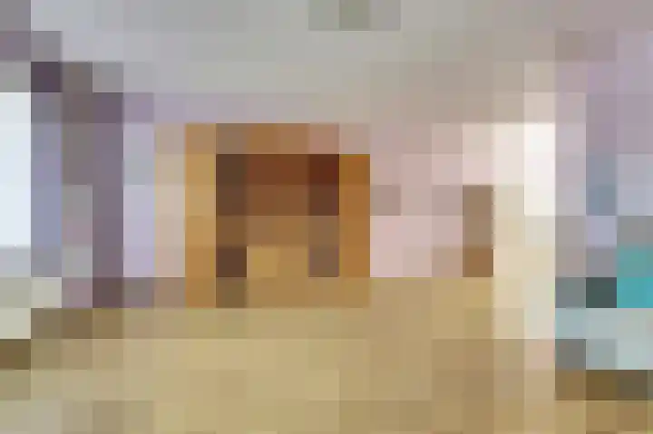 Sophiastraat 9 a Kamperland thumbnail 10