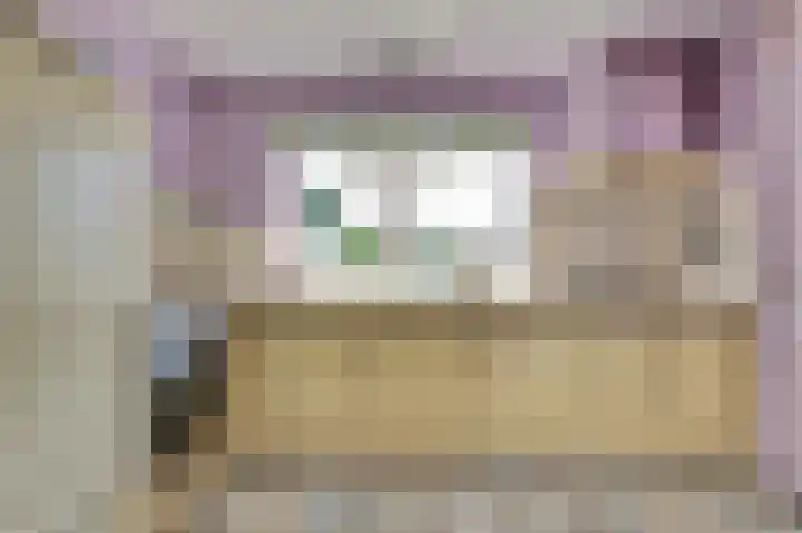 Sophiastraat 9 a Kamperland thumbnail 11