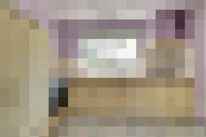Sophiastraat 9 a Kamperland thumbnail 14