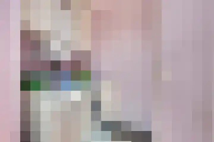 Sophiastraat 9 a Kamperland thumbnail 15