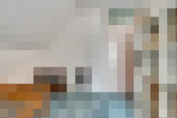 Sophiastraat 9 a Kamperland thumbnail 18
