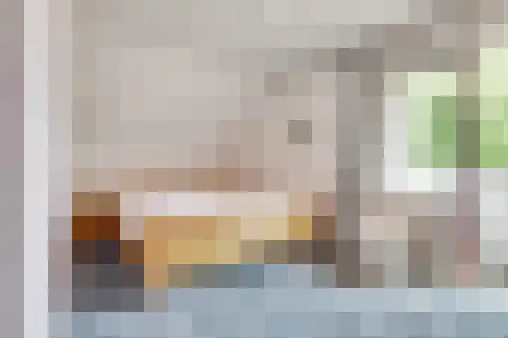 Sophiastraat 9 a Kamperland thumbnail 19