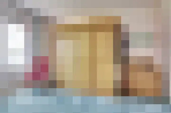 Sophiastraat 9 a Kamperland thumbnail 20