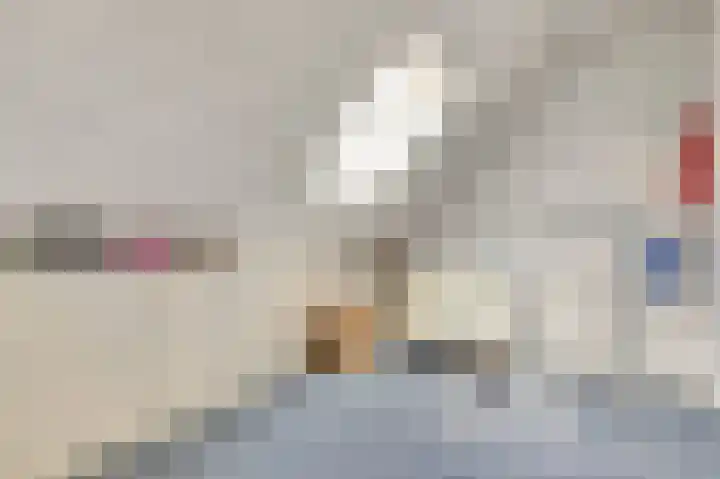 Sophiastraat 9 a Kamperland thumbnail 23