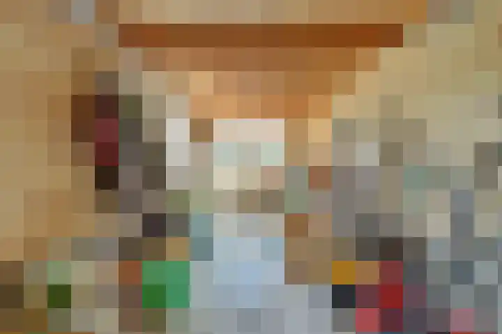 Sophiastraat 9 a Kamperland thumbnail 27