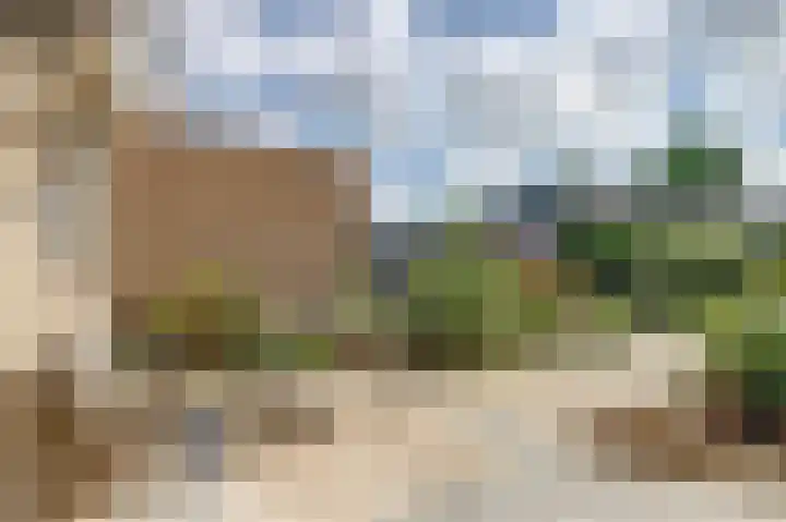 Sophiastraat 9 a Kamperland thumbnail 28