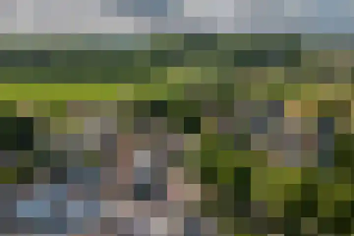 Sophiastraat 9 a Kamperland thumbnail 36