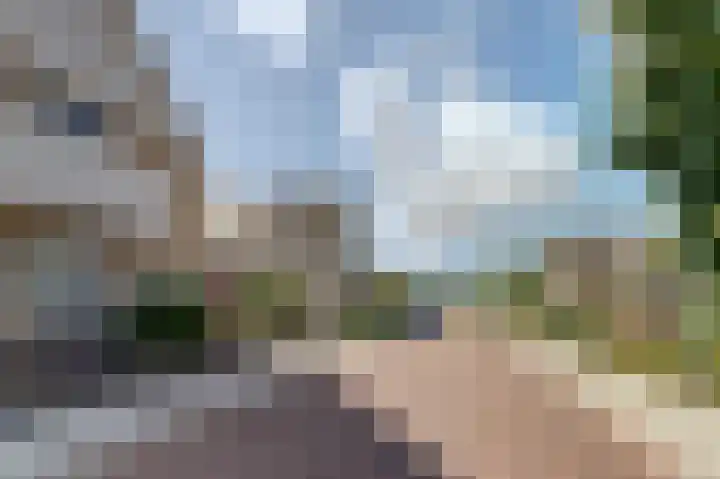 Sophiastraat 9 a Kamperland thumbnail 6