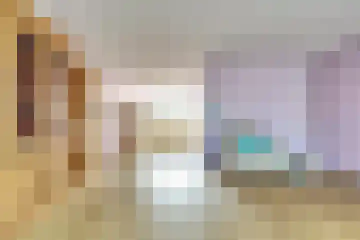 Sophiastraat 9 a Kamperland thumbnail 9