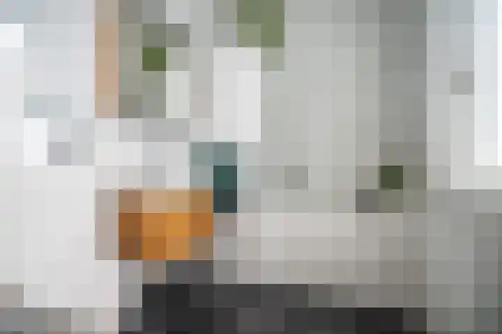 Sophiastraat 9 Leiden thumbnail 14