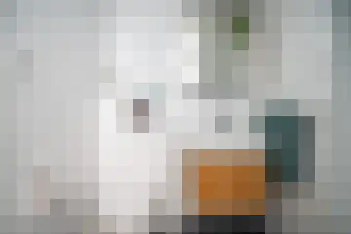 Sophiastraat 9 Leiden thumbnail 15