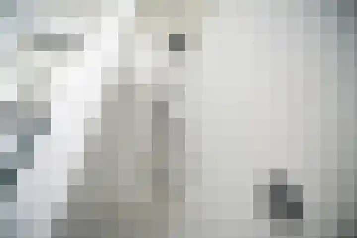 Sophiastraat 9 Leiden thumbnail 16
