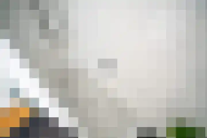 Sophiastraat 9 Leiden thumbnail 17
