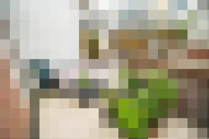 Sophiastraat 9 Leiden thumbnail 19
