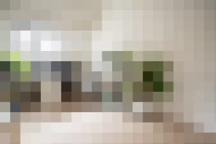 Sophiastraat 9 Leiden thumbnail 29