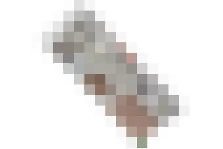 Sophiastraat 9 Leiden thumbnail 36