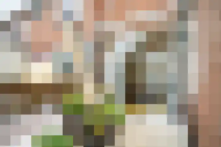 Sophiastraat 9 Leiden thumbnail 4