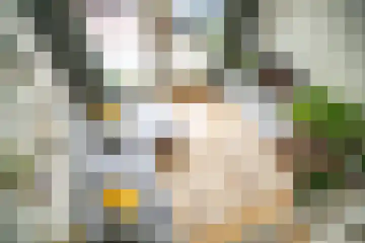 Sophiastraat 9 Leiden thumbnail 5