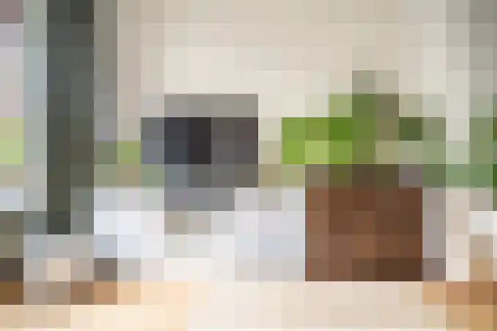 Sophiastraat 9 Leiden thumbnail 7