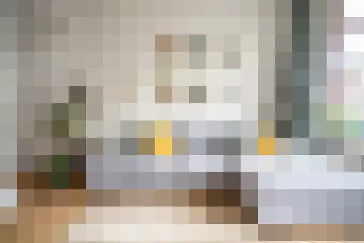 Sophiastraat 9 Leiden thumbnail 8