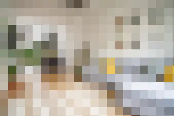 Sophiastraat 9 Leiden thumbnail 9
