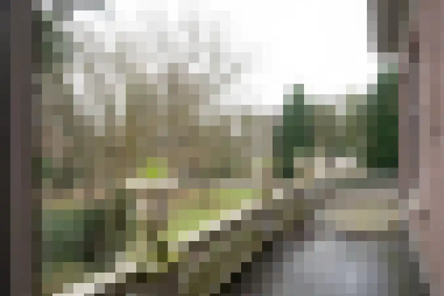 Sophiaweg 6 Nijmegen thumbnail 42