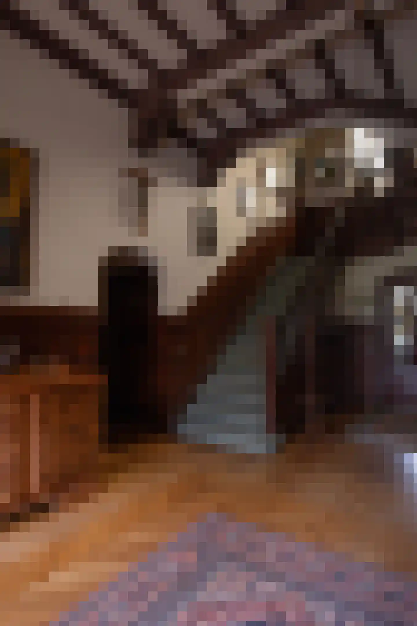 Sophiaweg 6 Nijmegen thumbnail 76