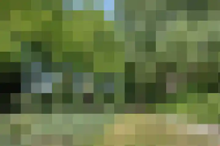 Sophiehof 1 Harmelen thumbnail 24