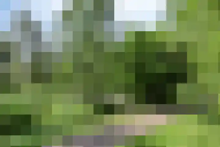 Sophiehof 1 Harmelen thumbnail 25