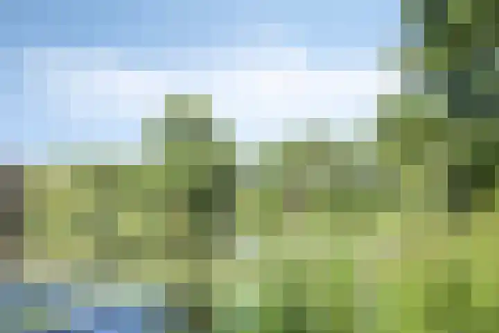 Sophiehof 1 Harmelen thumbnail 26