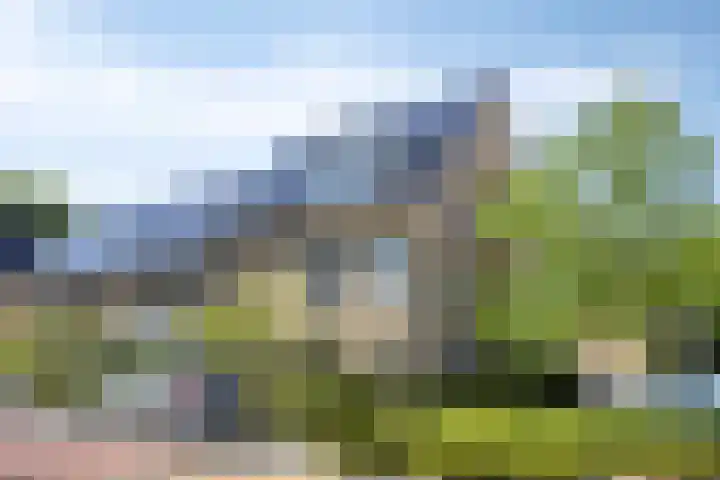 Sophiehof 1 Harmelen thumbnail 29
