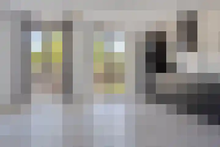 Sophiehof 1 Harmelen thumbnail 6