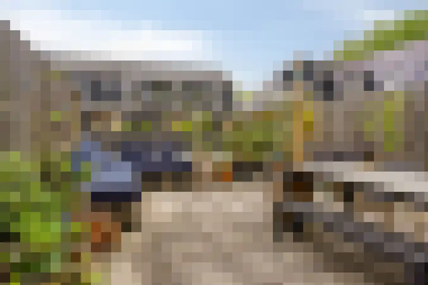 Sophiehof 19 Harmelen thumbnail 12