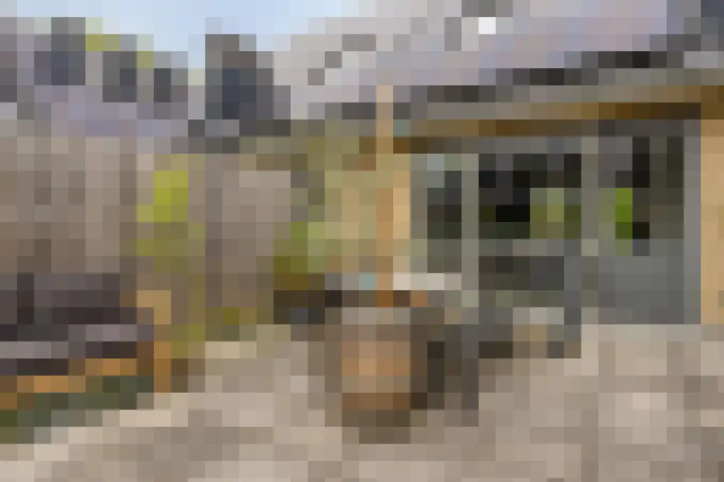 Sophiehof 19 Harmelen thumbnail 13