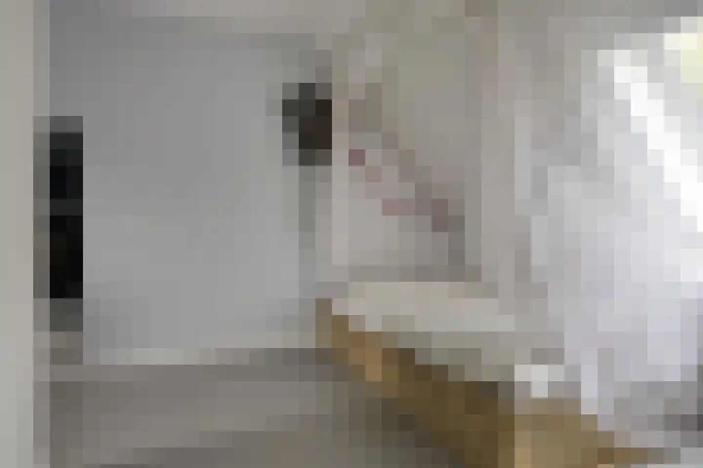 Sophiehof 19 Harmelen thumbnail 24