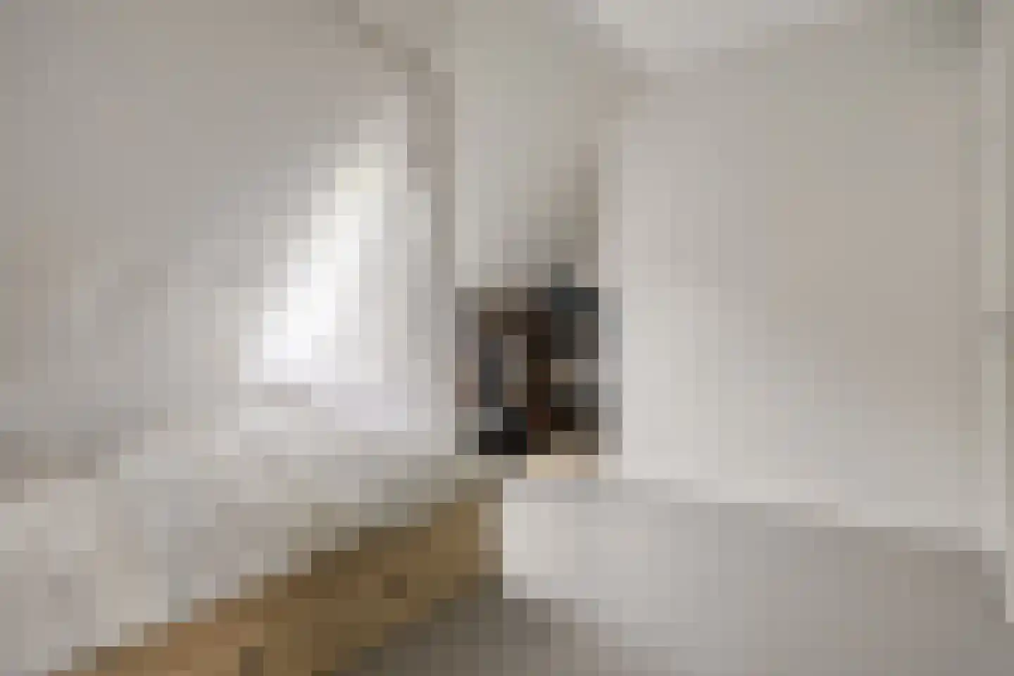 Sophiehof 19 Harmelen thumbnail 25