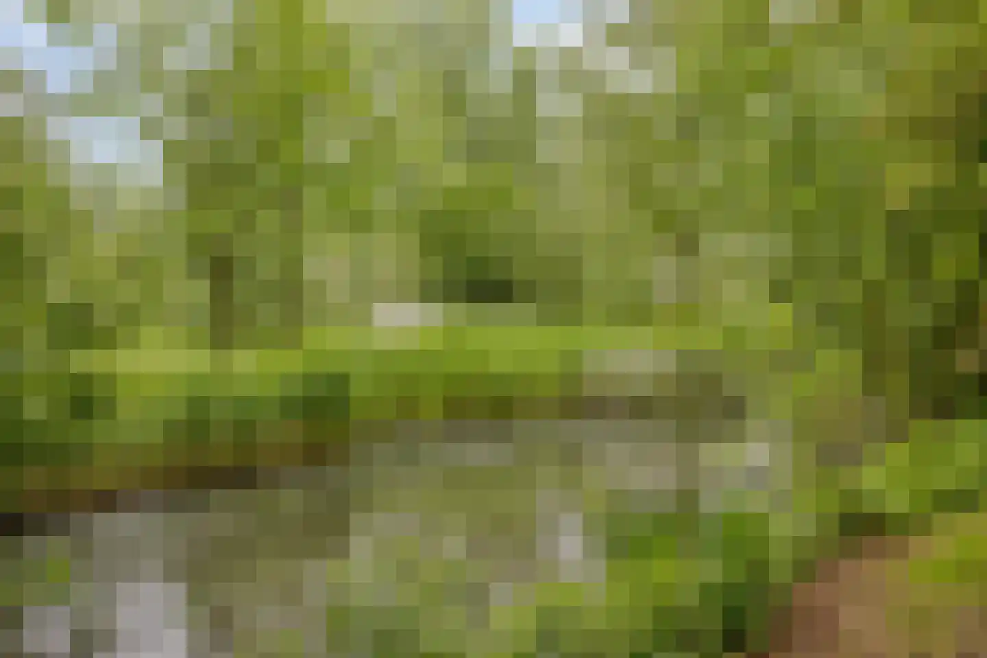 Sophiehof 19 Harmelen thumbnail 35