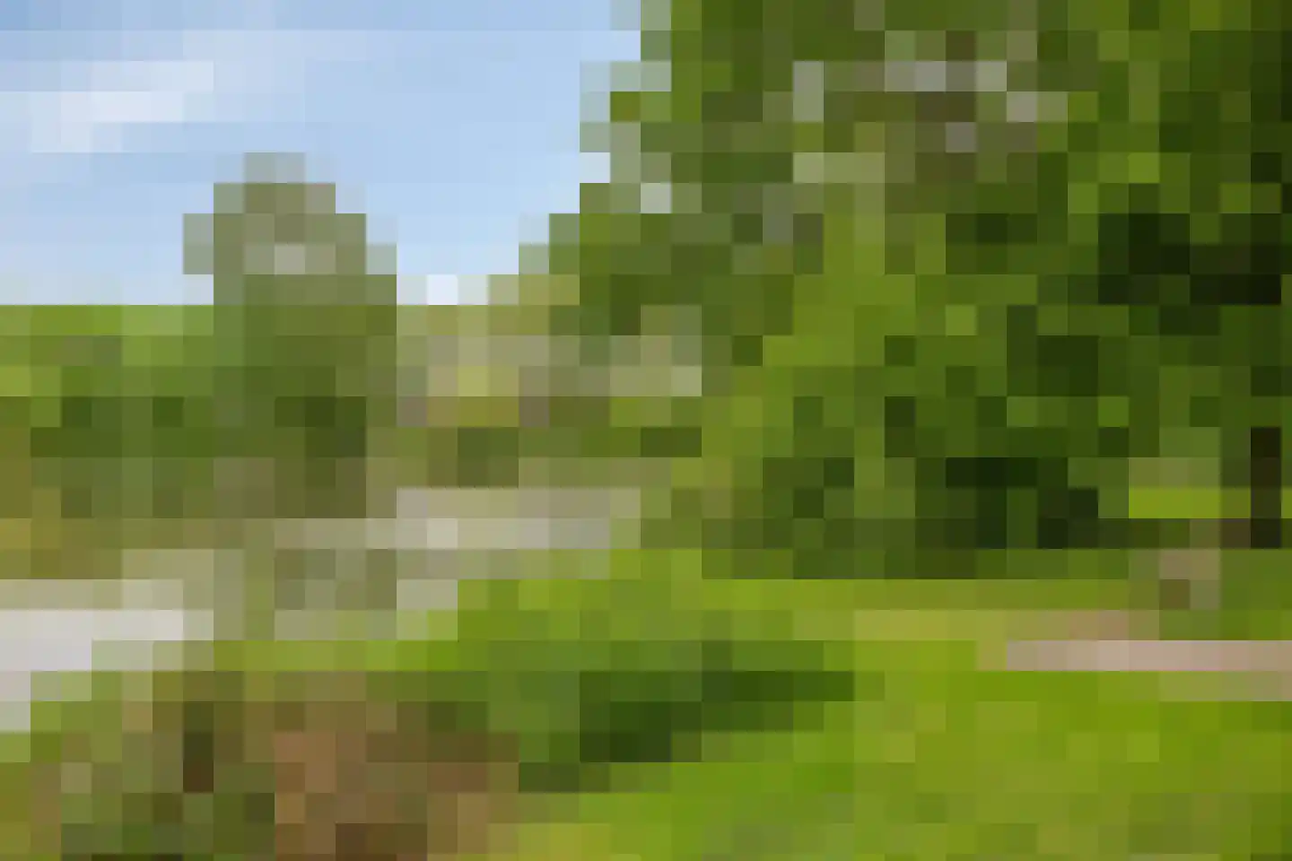 Sophiehof 19 Harmelen thumbnail 36